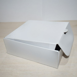 Corrugated Box 20x18x7cm - Offset